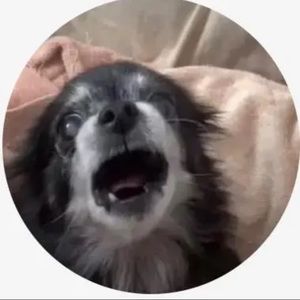 Meet your Posher, Seamus